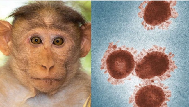 monkey pox virus in telugu