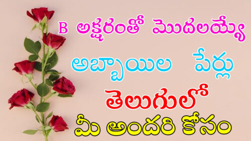 baby boy names starting with b letter in telugu